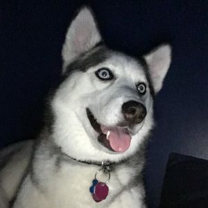 Meet your Posher, Sherry